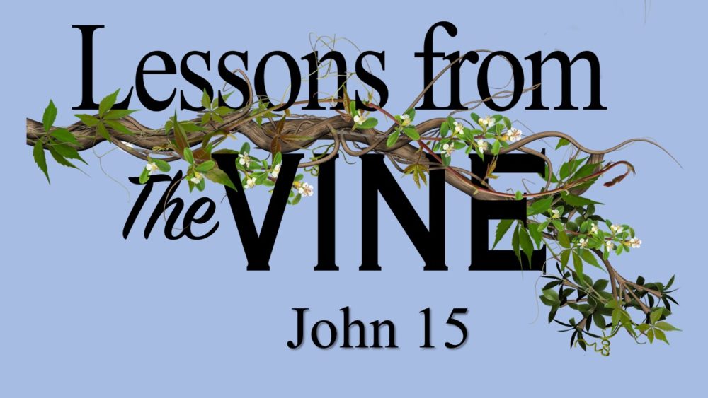 Lessons from the Vine