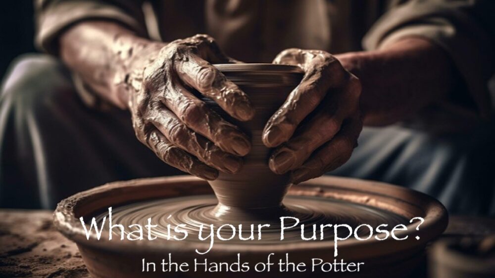 What is your Purpose?